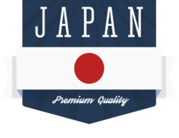 Training by Japanese experts with international work experience